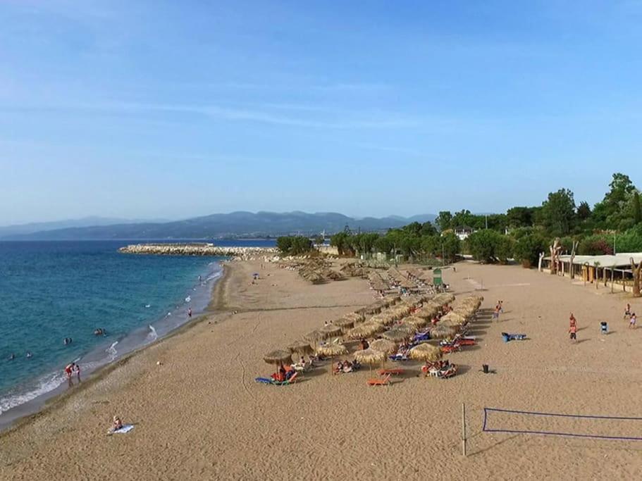 Апартаменти Στούντιο Σε Πέτρινο Σπίτι, Κοντά Σε Παραλία Кіпарісія Екстер'єр фото